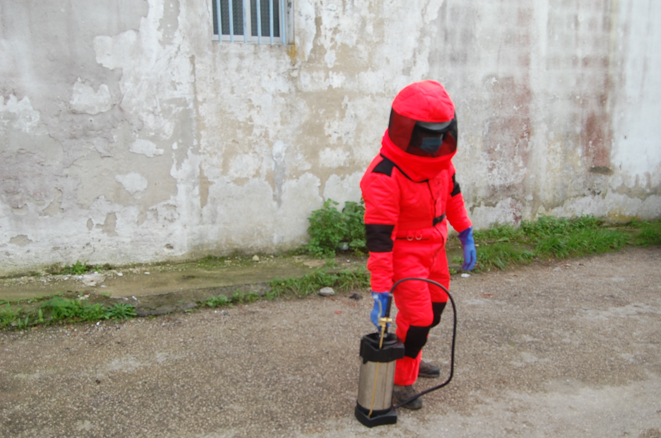 pulverização de inseticida